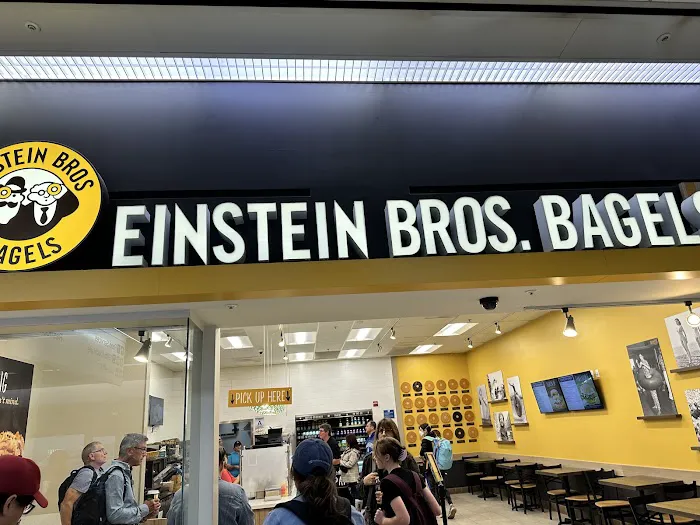 Einstein Bros. Bagels Picture 5