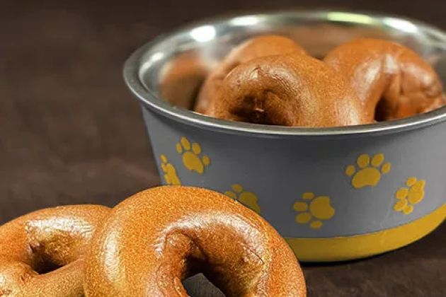 Einstein Bros. Bagels