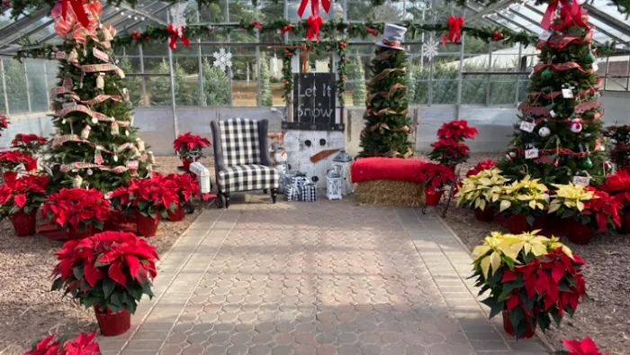 Zimmerman's Country Market Picture 1