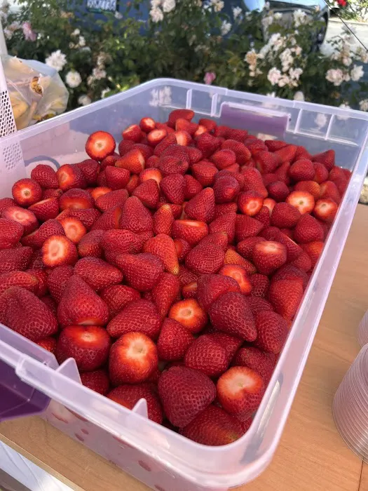 Strawberry Picture 8