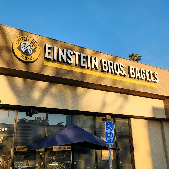 Einstein Bros. Bagels Picture 7
