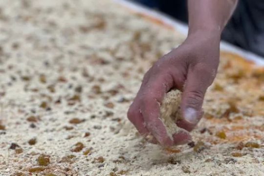 Continental Kosher Bakery