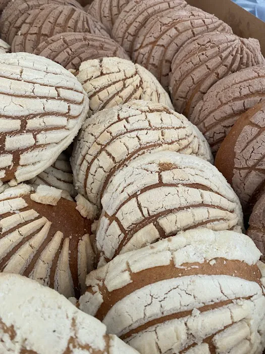 Camacho's Bakery Picture 7