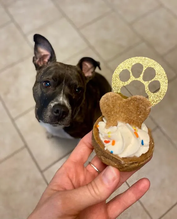 Rocky's Rescue Treats Picture 5