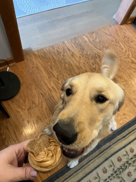 Rocky's Rescue Treats Picture 9