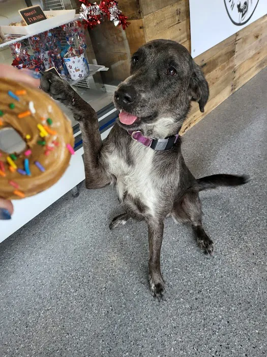 Rocky's Rescue Treats Picture 7