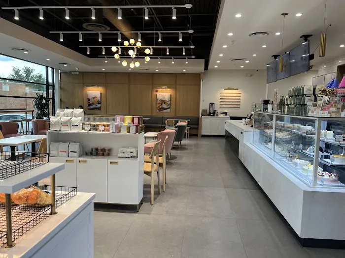 Tous les Jours - Elkins Park Picture 6