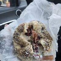 South Shore Hot Bagels Corporation ico