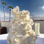 Plumeria Cake Studio