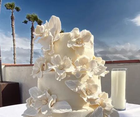 Plumeria Cake Studio