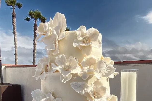 Plumeria Cake Studio