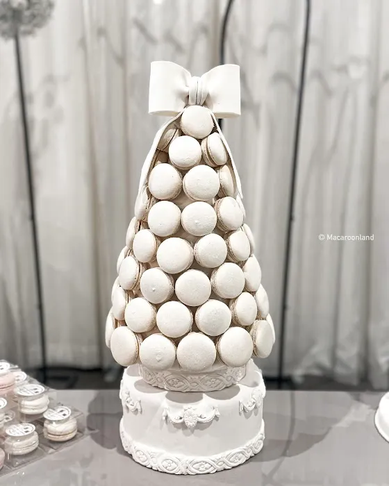 Macaroon Land Picture 7