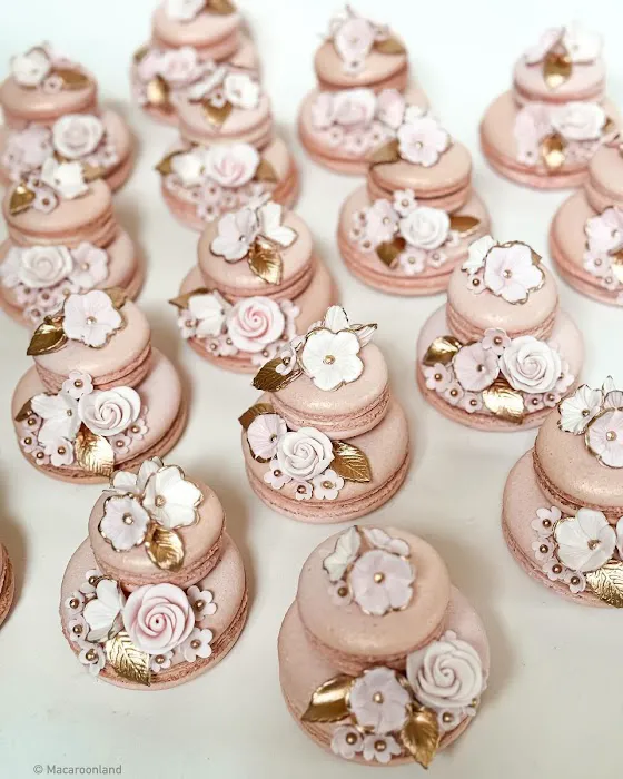 Macaroon Land Picture 4