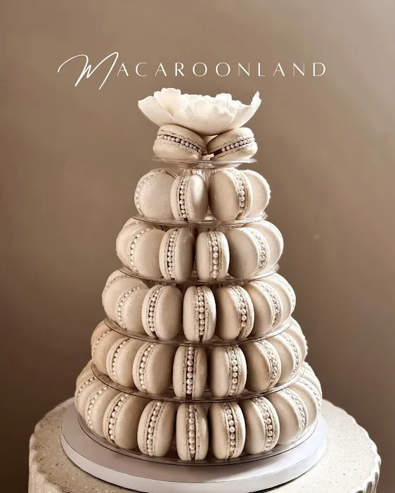 Macaroon Land Picture 9
