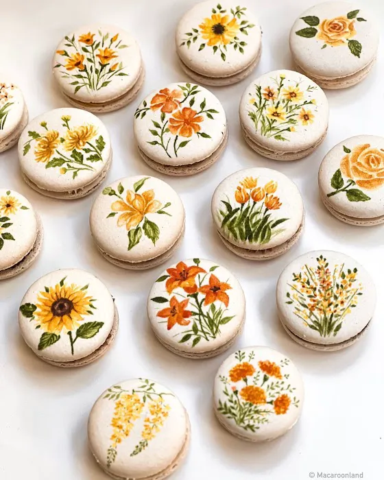 Macaroon Land Picture 6