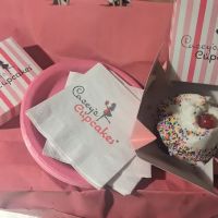Casey's Cupcakes ico