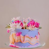 DreamWorld Bakes ico