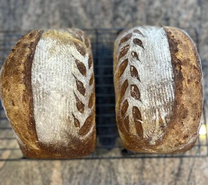 Bread Dog Sourdough Microbakery Picture 1