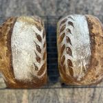 Bread Dog Sourdough Microbakery