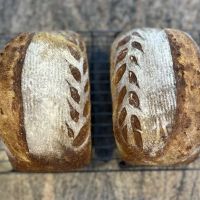 Bread Dog Sourdough Microbakery ico