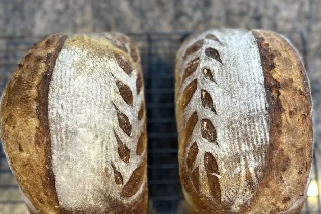 Bread Dog Sourdough Microbakery