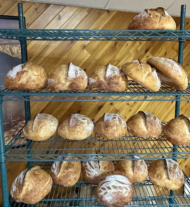 Bread Dog Sourdough Microbakery Picture 10