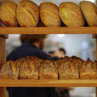 Downtime Bakery ico