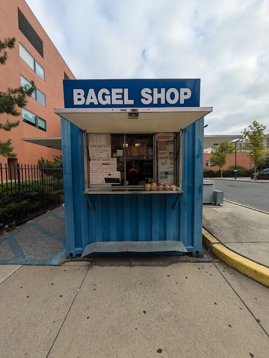 Bagel Shop Picture 8