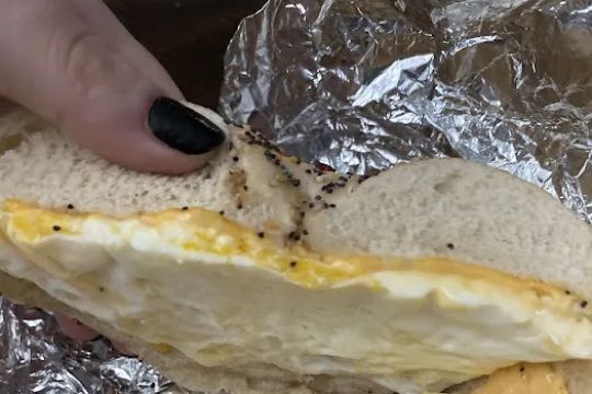 Pio Hot Bagels