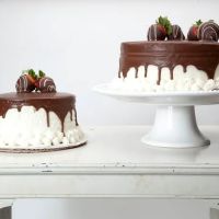 Mother Mousse ico