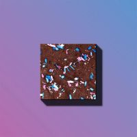 LEXINGTON BAKES ico