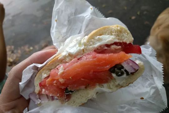 Fitzwater Street Philly Bagels