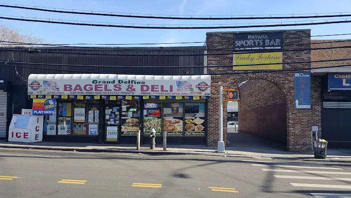 Grand Delfino Bagels & Deli Picture 4