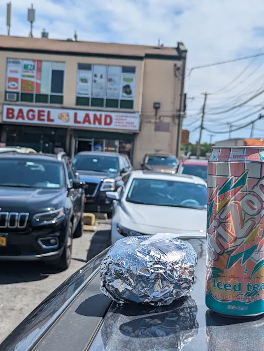 Bagel Land Picture 6