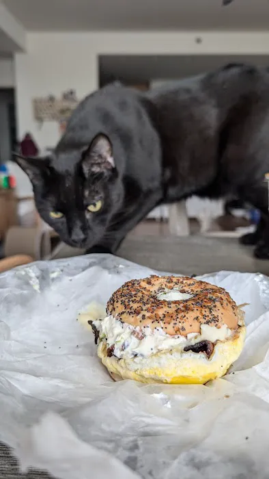 Schmear Bagel Parlor Picture 7