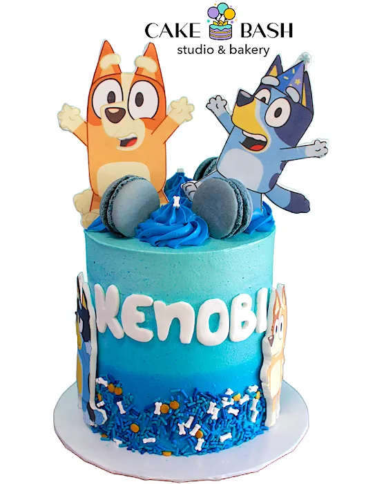 Cake Bash Studio Picture 10