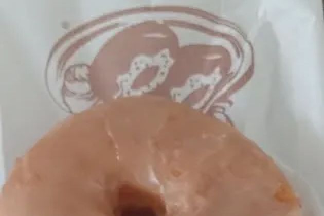Daily Donut