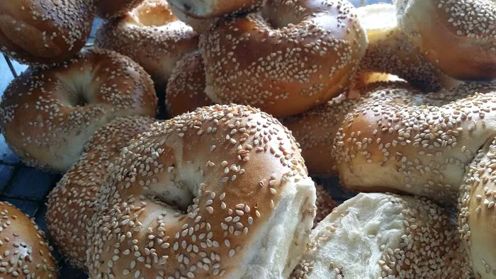 New York Bagel Bakery Picture 3