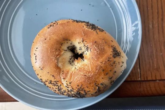 Original Bagel Inc