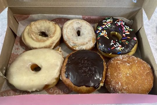 Sleeping Bird Doughnuts