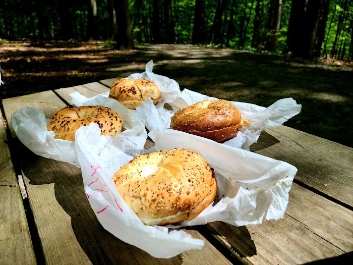 Bagel Hut Picture 2