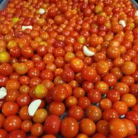Hillside Farm to Bagel ico