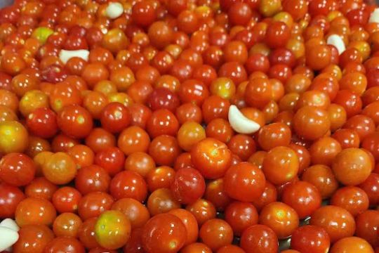 Hillside Farm to Bagel