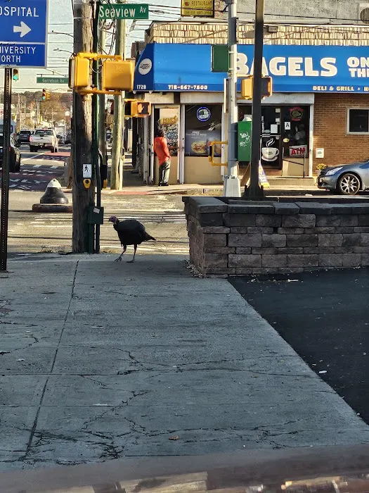 Bagels on the Boulevard Picture 10