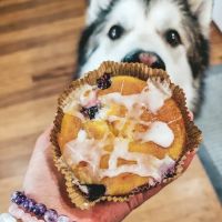 Flakely Gluten Free MANAYUNK ico