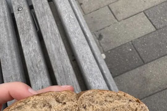 Hyatt Bagel Cafu00e9
