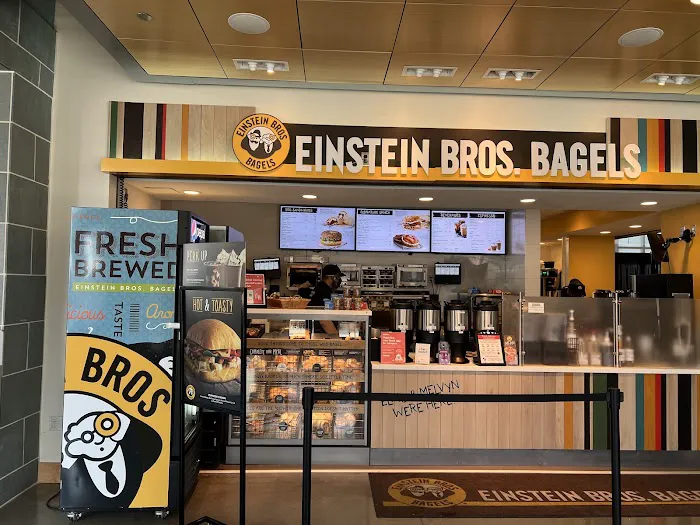 Einstein Bros. Bagels Picture 1
