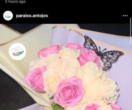 Parau00edso De Antojos