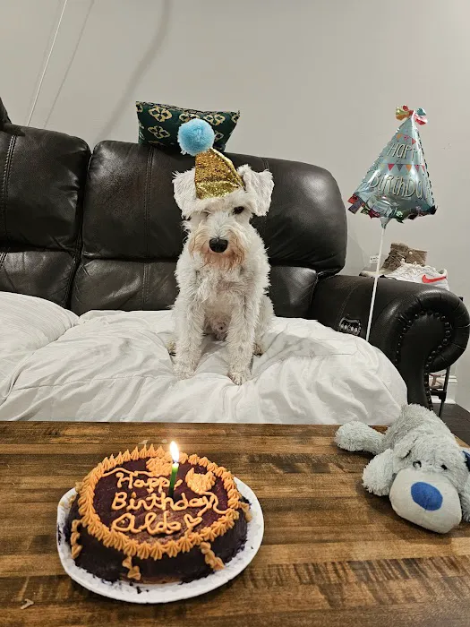 VS doggy treats Picture 9