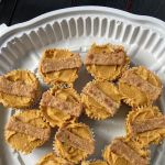 VS doggy treats